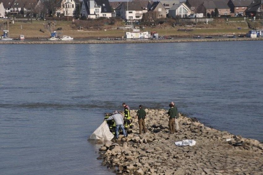 Einsatz BF Koeln Person im Rhein Rheinkassel P23.jpg